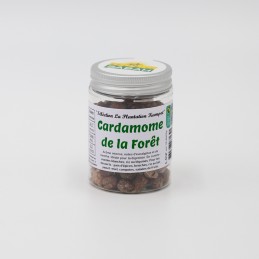 Cardamome de la Forêt