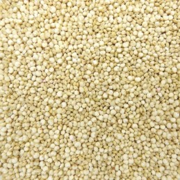 Quinoa Blanc Bio