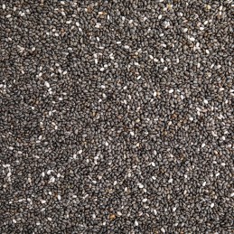 Graines de Chia Bio
