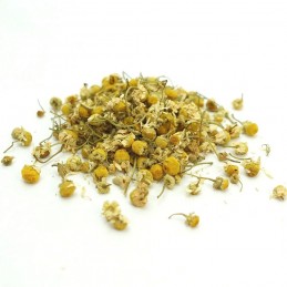 Camomille Séchée