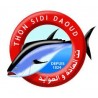 	Sidi Daoud