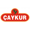 	Caykur