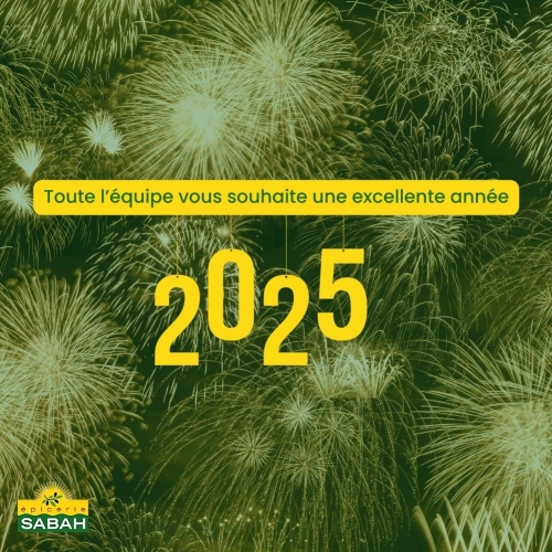 Bonne Année 2025 ! Retour sur les Produits Phare de 2024